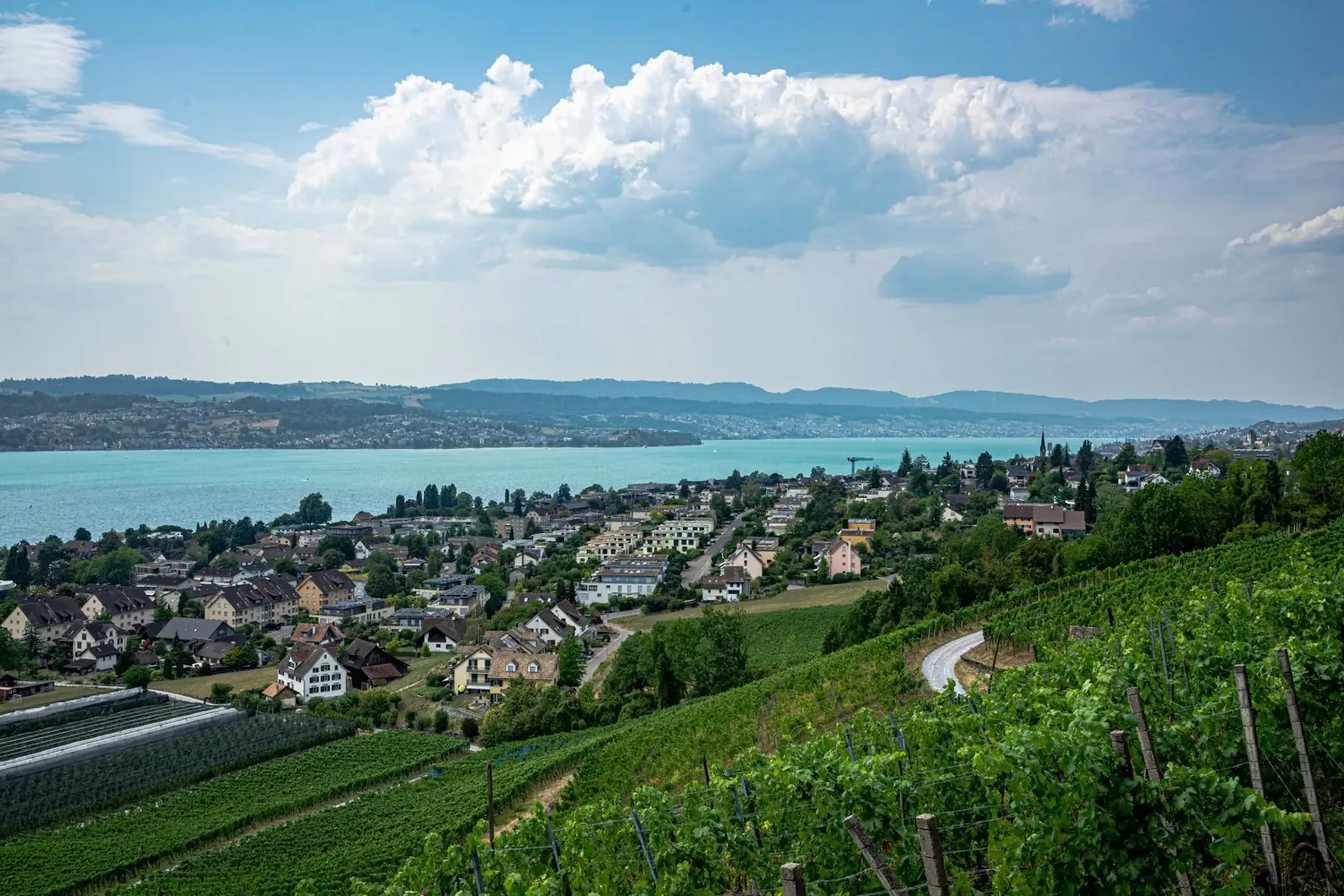 Nature, peace and lake view with plenty of space for humans and animals