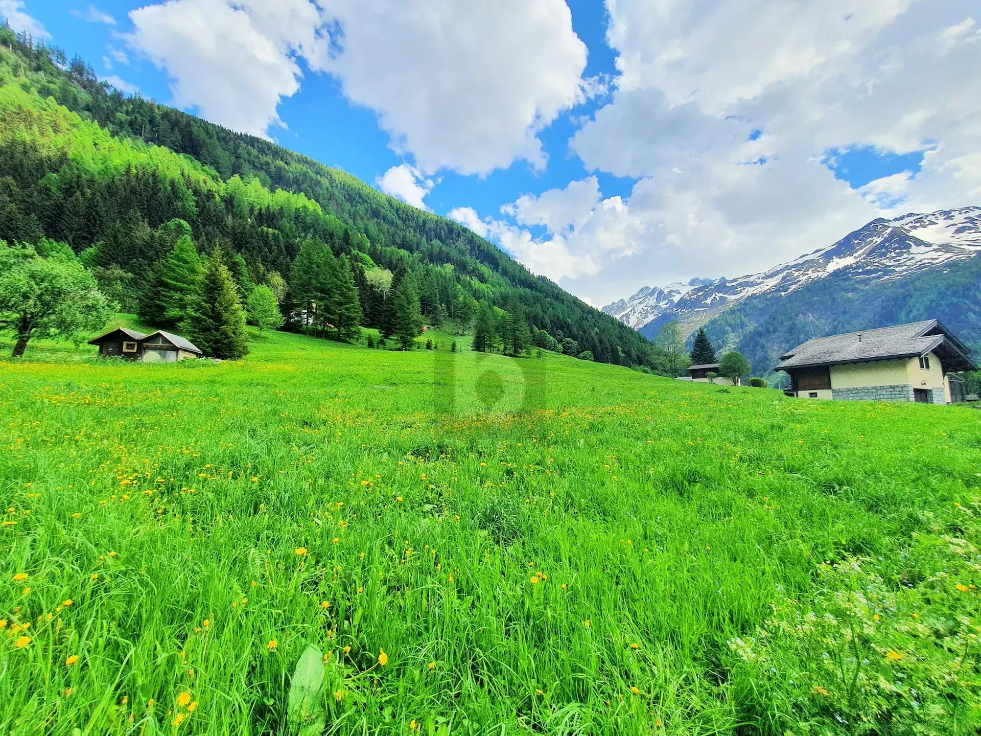 BUILDABLE, AGRICULTURAL AND FOREST LAND